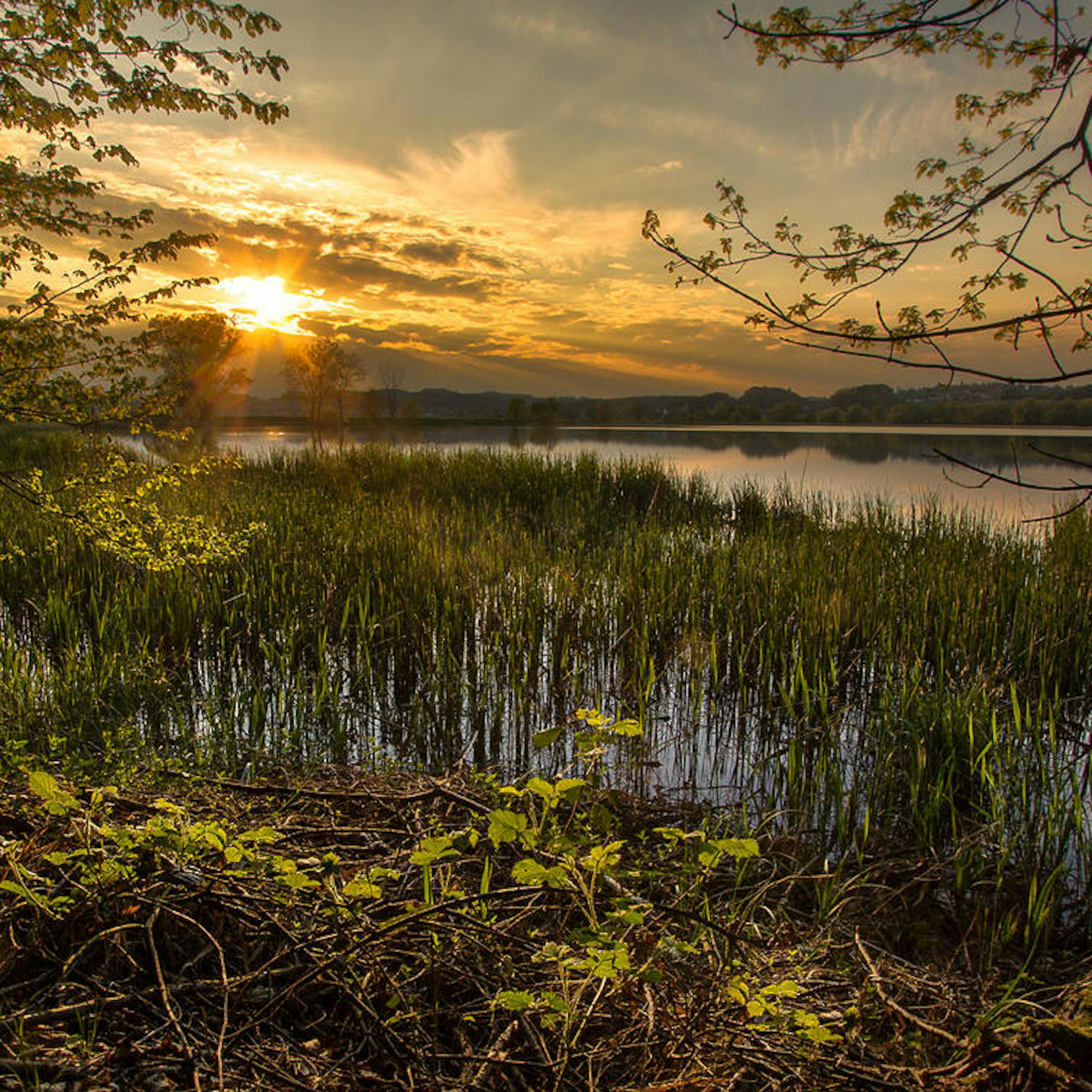 Jezero Komarnik